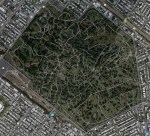 green-wood_bernstein